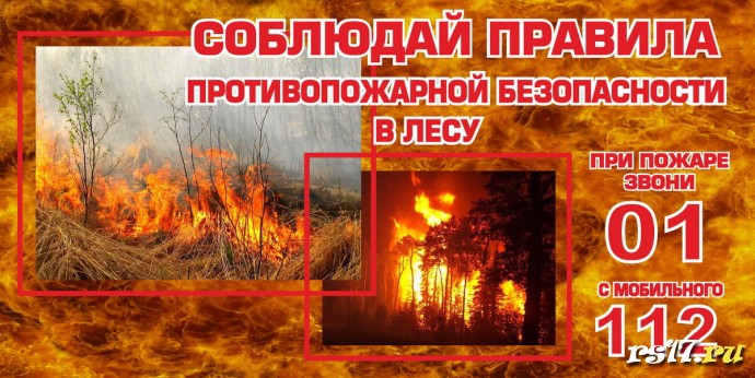 ​Пожарная безопасность в лесах. 1