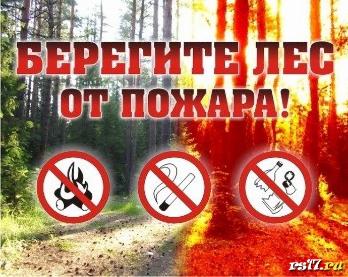 ​Пожарная безопасность в лесах. 0
