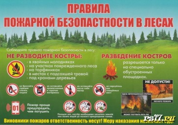 Инструктаж "Соблюдение пожарной безопасности в лесах"