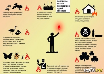 Меры безопасности в пожароопасный период, действия при пожаре. Профилактика