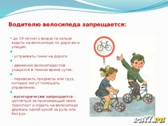 Меры безопасности на улицах и дорогах. Безопасность пешехода и велосипедиста.