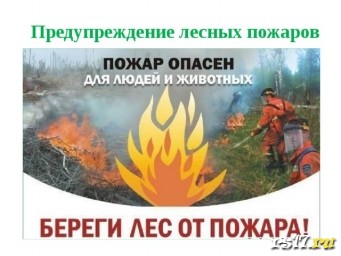 Меры безопасности в пожароопасный период, действия при пожаре. Профилактика лесных пожаров.