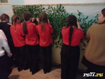 Плетение сетей