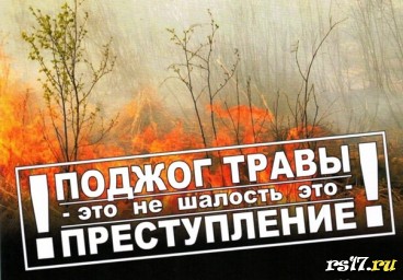 Инструктаж "Соблюдение пожарной безопасности в лесах".