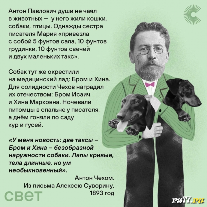 29 января день рождения А.П.Чехова 2